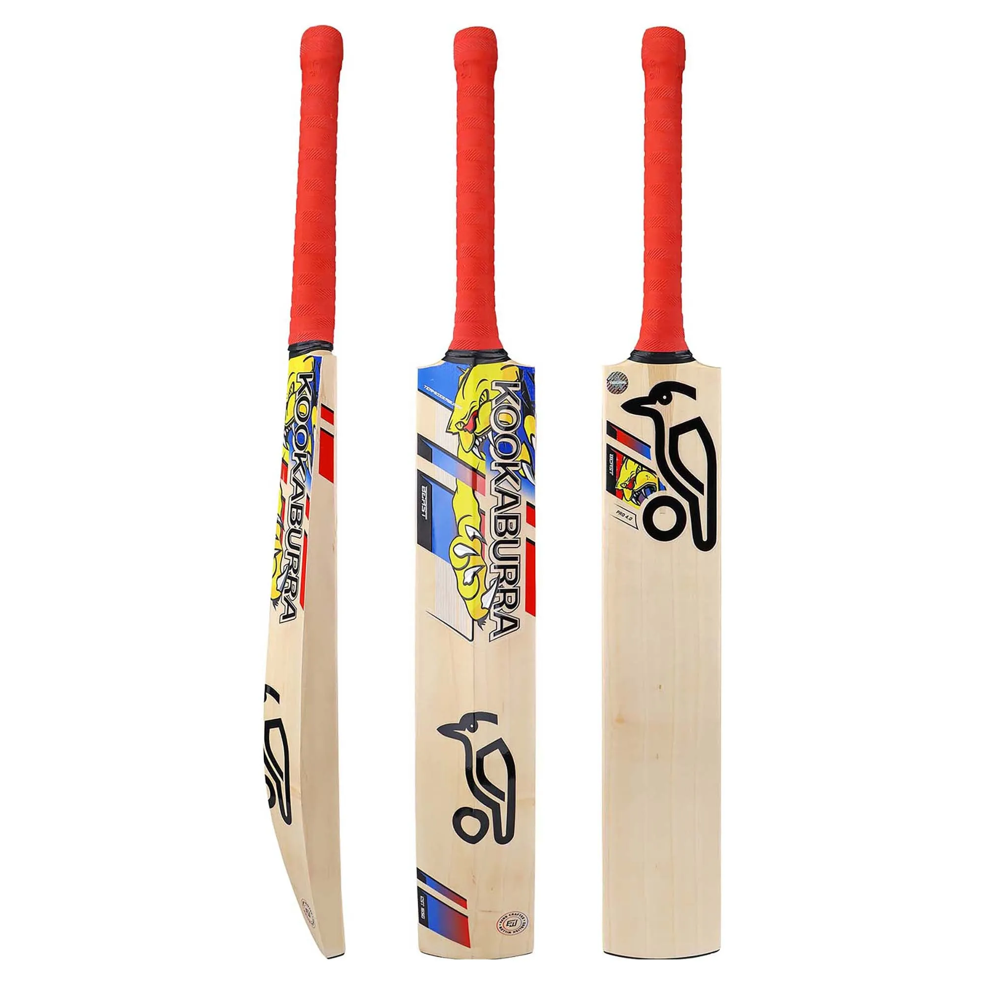 Beast Pro 4.0 Cricket Bat