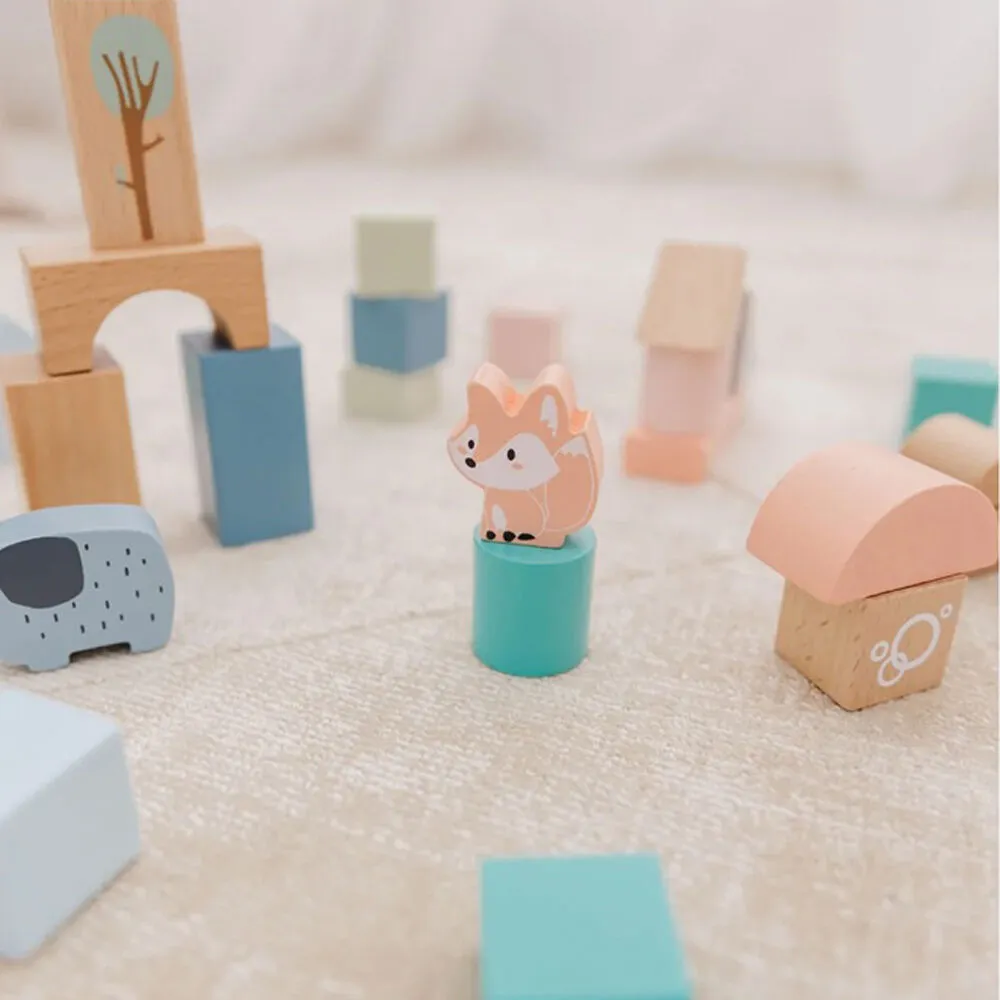 Bubble Wooden Activity Blocks