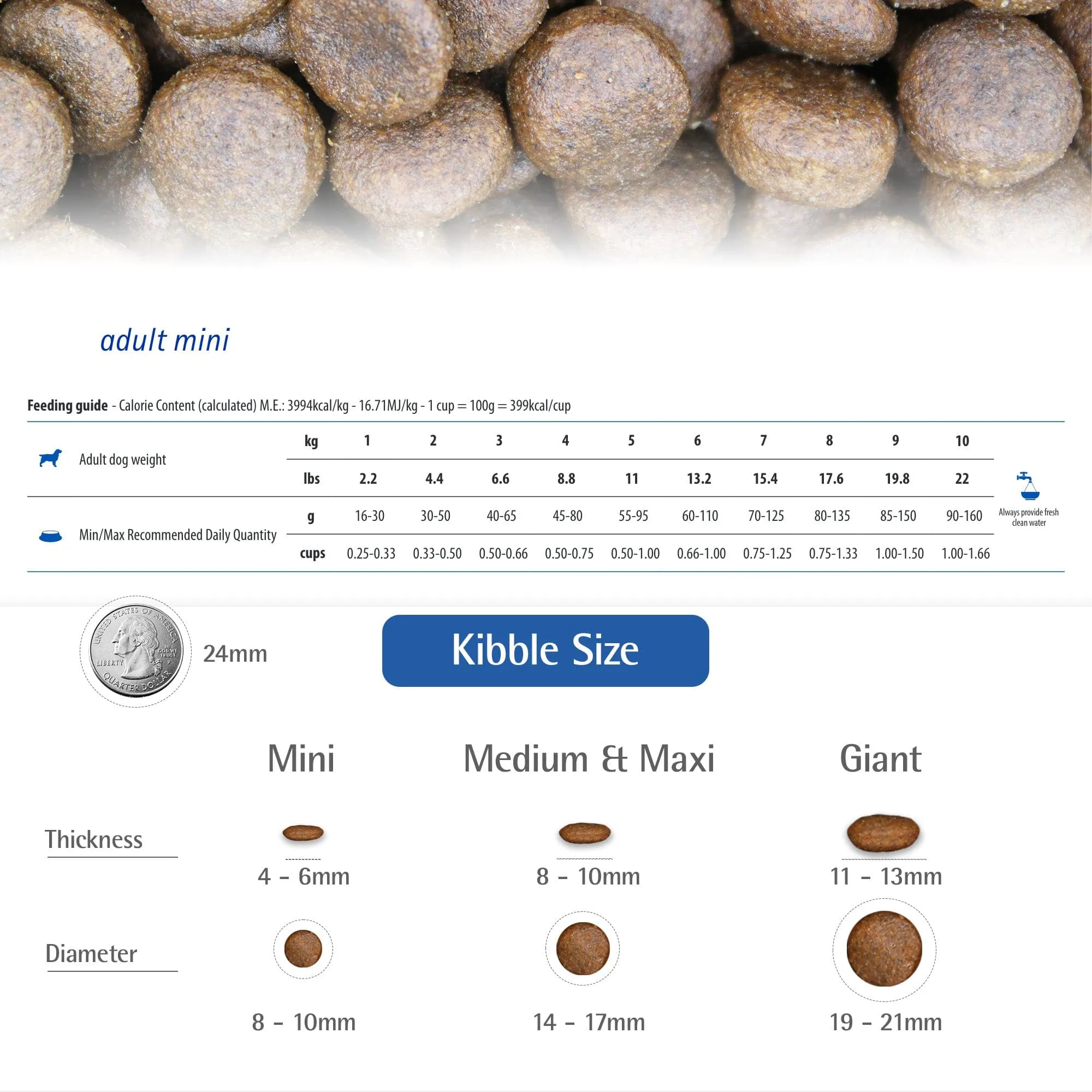 Farmina N&D Ocean Ancestral Grain Cod, Spelt, Oats & Orange Medium & Maxi Adult Dry Dog Food