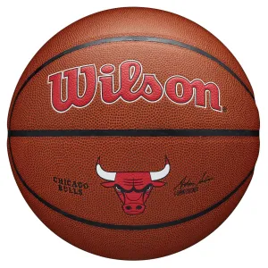 NBA Chicago Bulls Team Composite Basketball