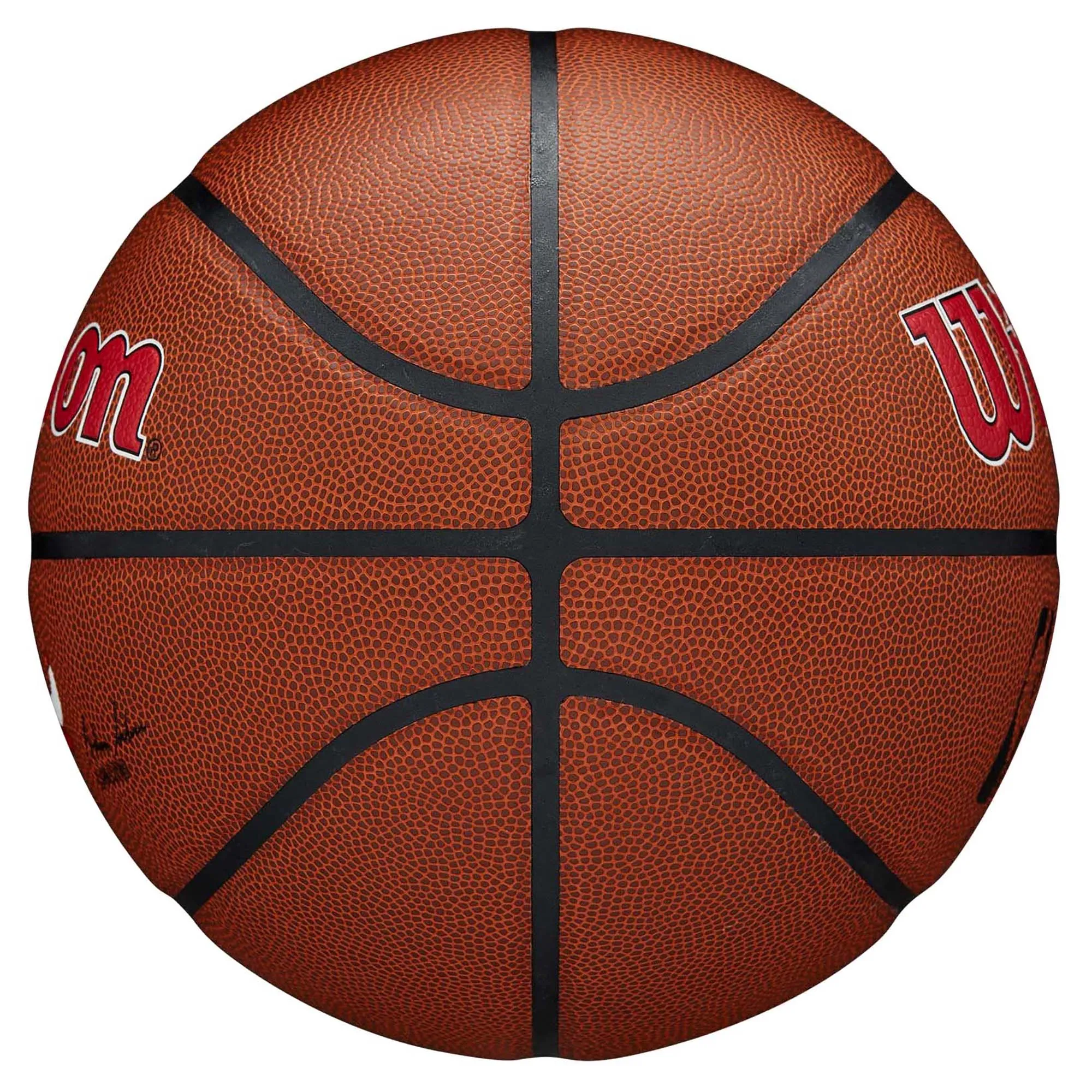 NBA Chicago Bulls Team Composite Basketball