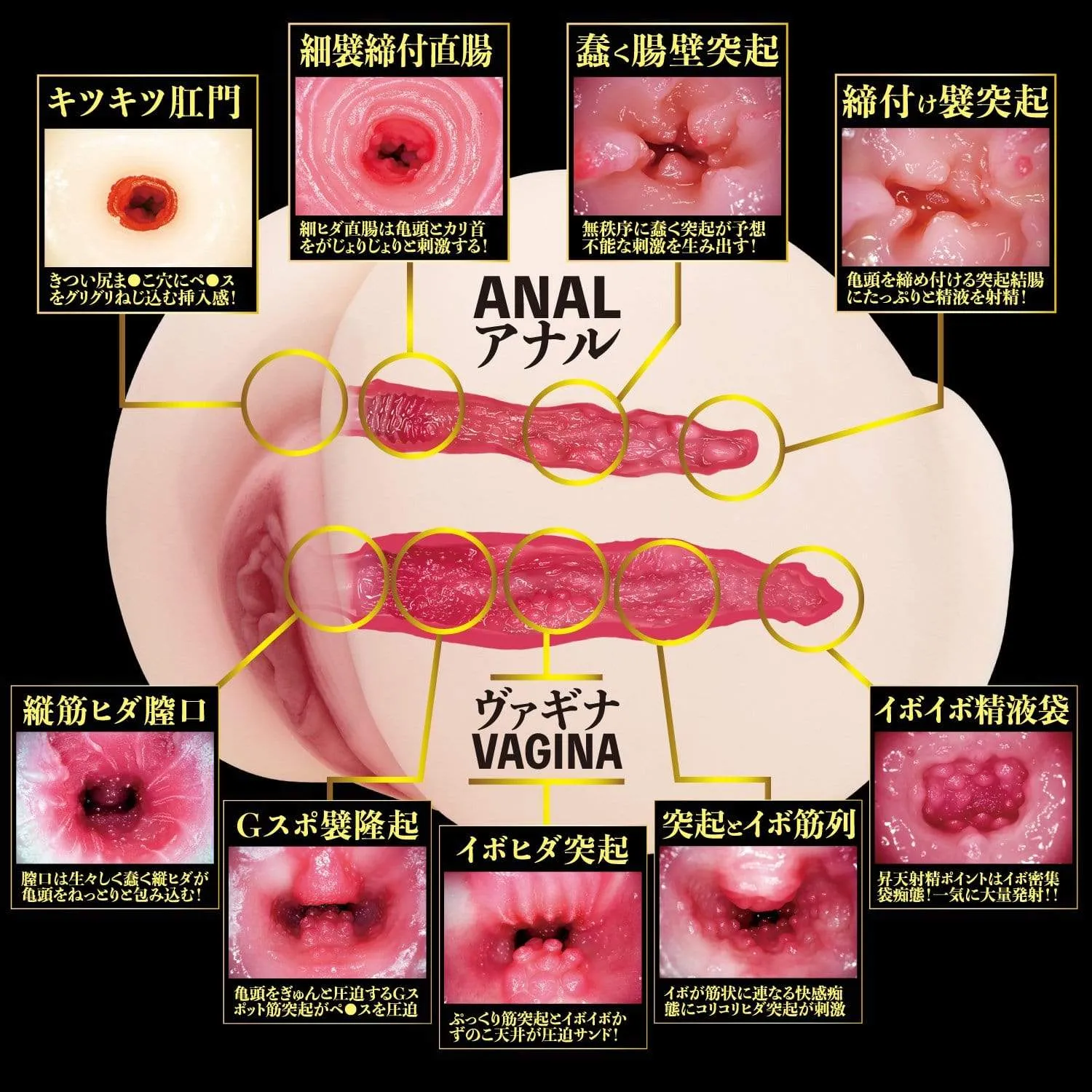 NPG - 2 Holes Raw Momojiri Eimi Fukada Onahole (Beige)